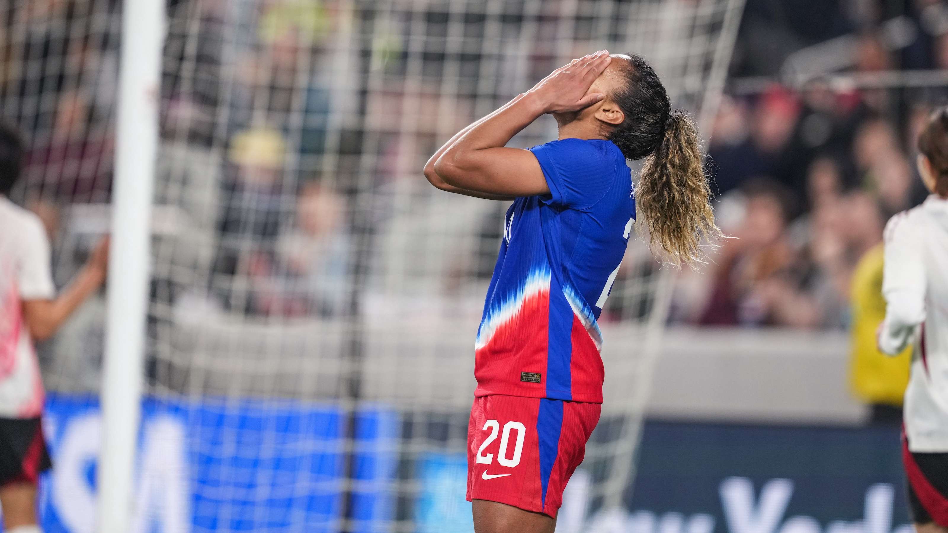 的狮子图案 的狮子图案