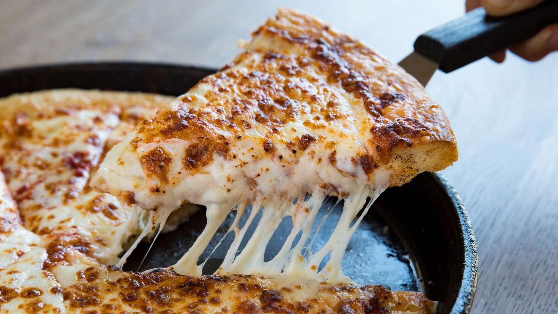 中的佼佼者 中的佼佼者